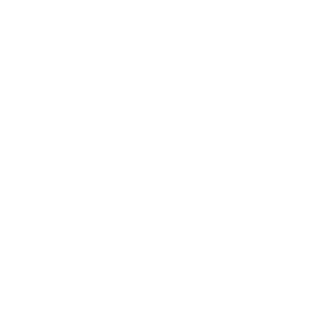 Dubai Police